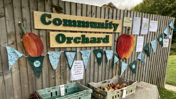 Community Orchard, Dunkeld Community Orchard, Dunkeld