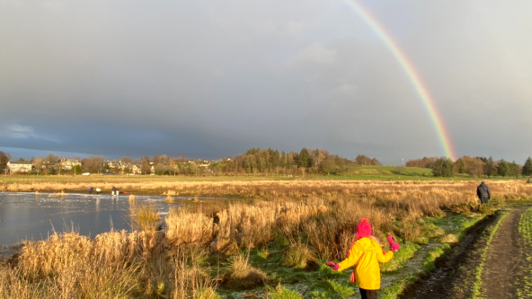 Rainbow over a wetland landscape