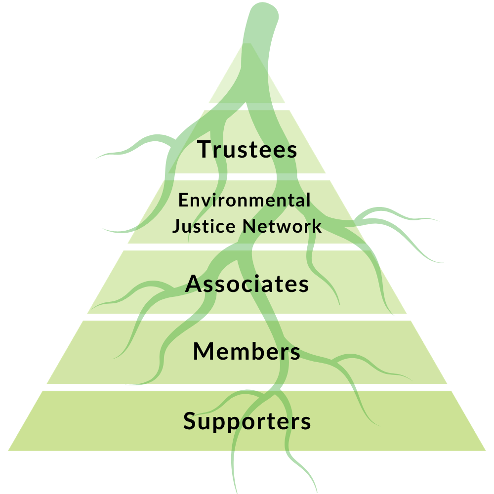 ERCS roots: our supporters graphic.